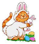 bevbunnycat.gif (5545 bytes)