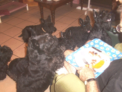 Checking out Dad's dinner leftovers