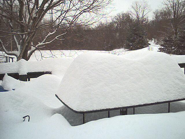 From the back deck - our patio table.