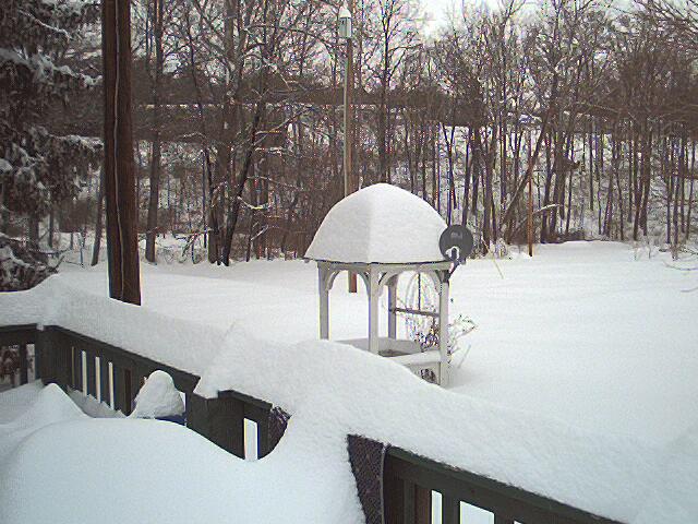 From the back deck