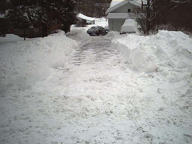 Driveway is now a tunnel.