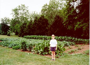 1999 Garden