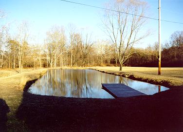 Pond