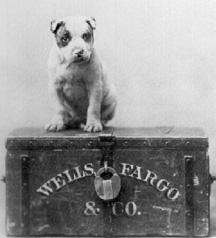 dog_box.jpg (63731 bytes)