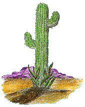 cactus