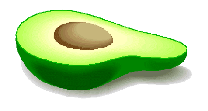 Avocado