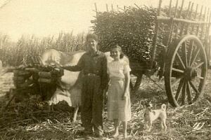 Ricardo & Odelidia in the sugar cane field in Granjel.