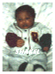 shakel.gif - 8.99 K