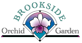 Free Virtual Orchids from Brookside Orchids