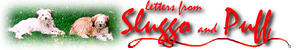 Letters from Sluggo and Puff