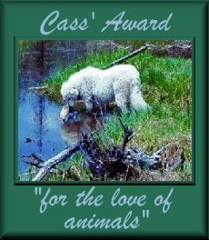 Cass's Award