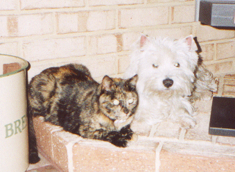 Buttons and Gemma, October 2001