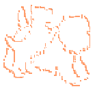 westie outline