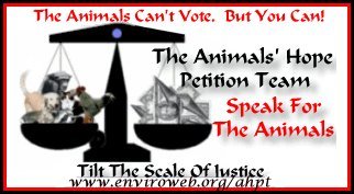 The Animals' Hope Petition Team