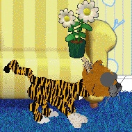 petz3.jpg