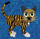 petz6.jpg