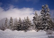 Winter in Maine