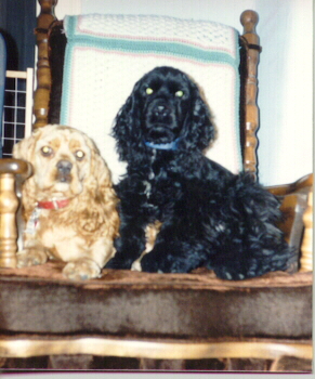 Sam & Lady in Rocker