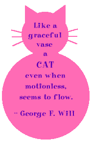 Like a graceful vase, a CAT, even when motionless, seems to flow. --George F. Will