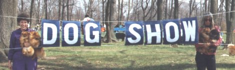 at a dog show