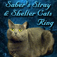 Saber's Stray & Shelter Cats