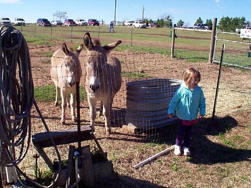 Jordan saying hello to the donkeys