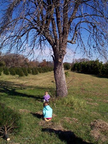 waiting for the tractor to come get us