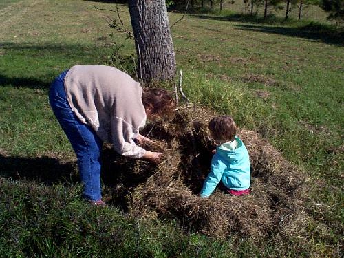 the nest starts to morph into a beaver lodge