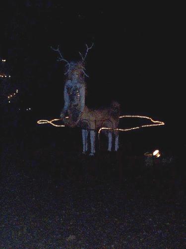 Visiting the lights on West 37th Street - a strange creature