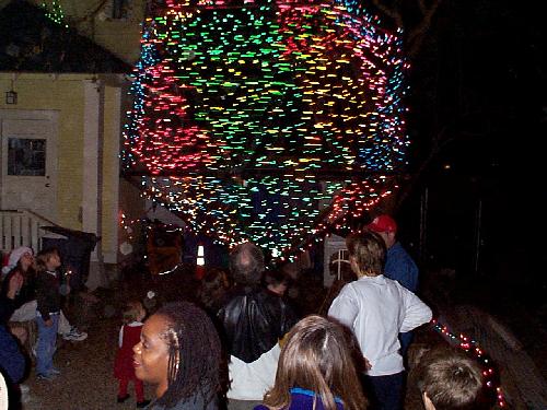 everyone liked playing with the ball and watching it