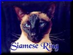 Siamese Cat Ring