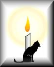 Cat Candle