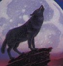 Howling Wolf