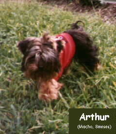 Arthur