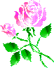 rose2.gif 2.8 K