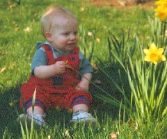 Matthew and the daffodils