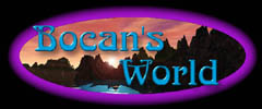 Bocan's World