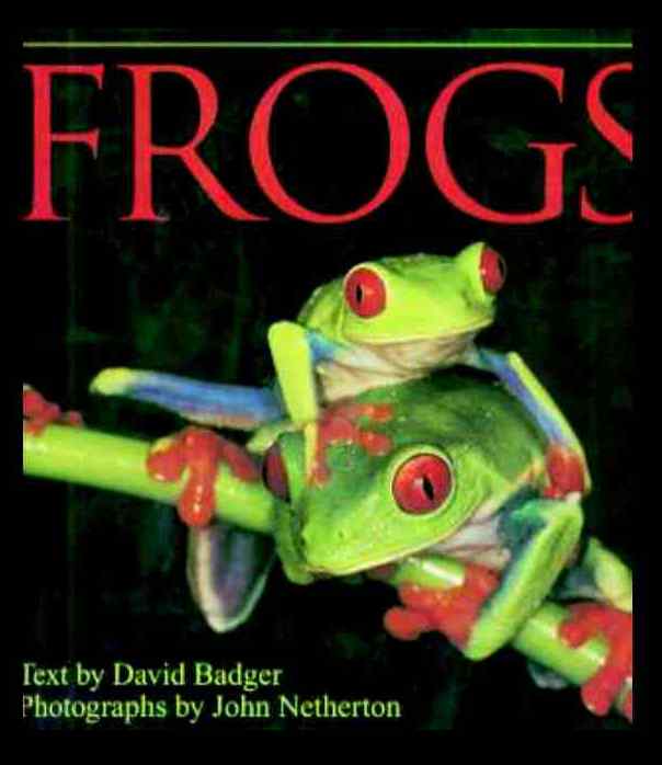 Frogs