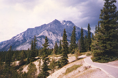 Above the Bow Valley