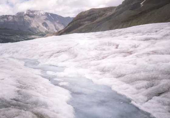 Athabasca Glacier