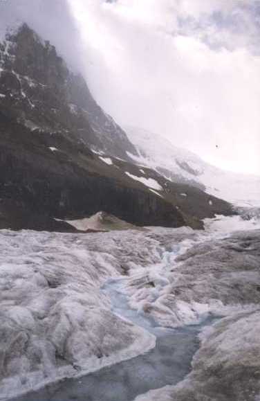 Athabasca Glacier