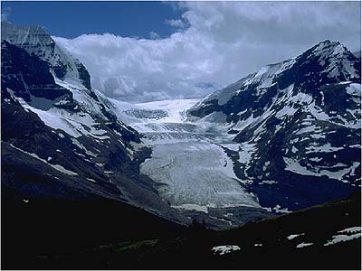 Athabasca Glacier