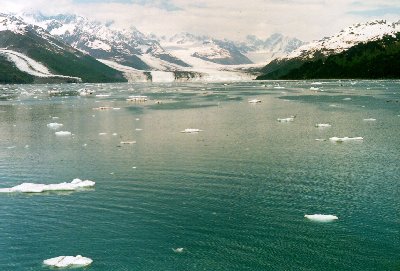 College Fjord