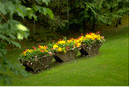 Flower Cart