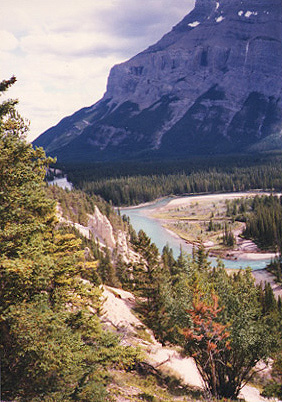 Hoodoos in the Bow 