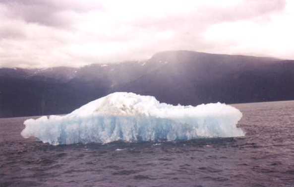 Iceberg