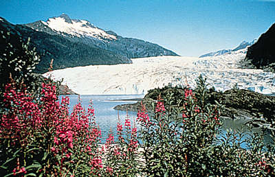 Mendenhall Glacier