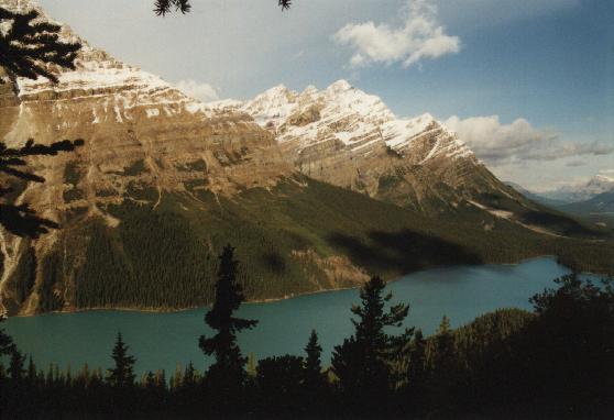 Peyto Lake