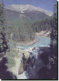 Sunwapta Falls