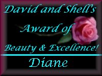 David and Shell's Award